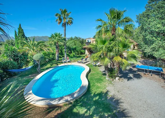 Alzines By Vintage Travel *