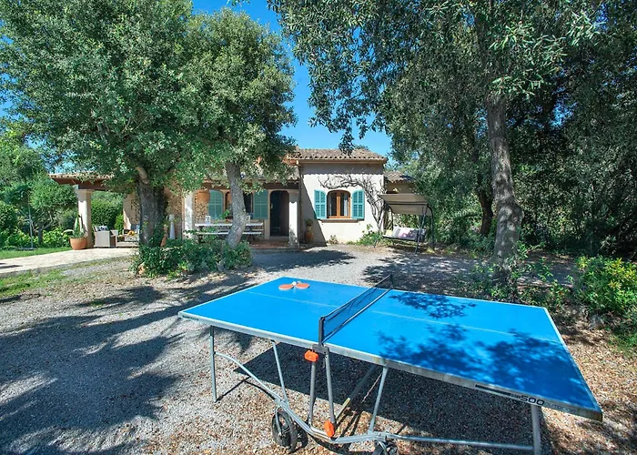 Alzines By Vintage Travel *